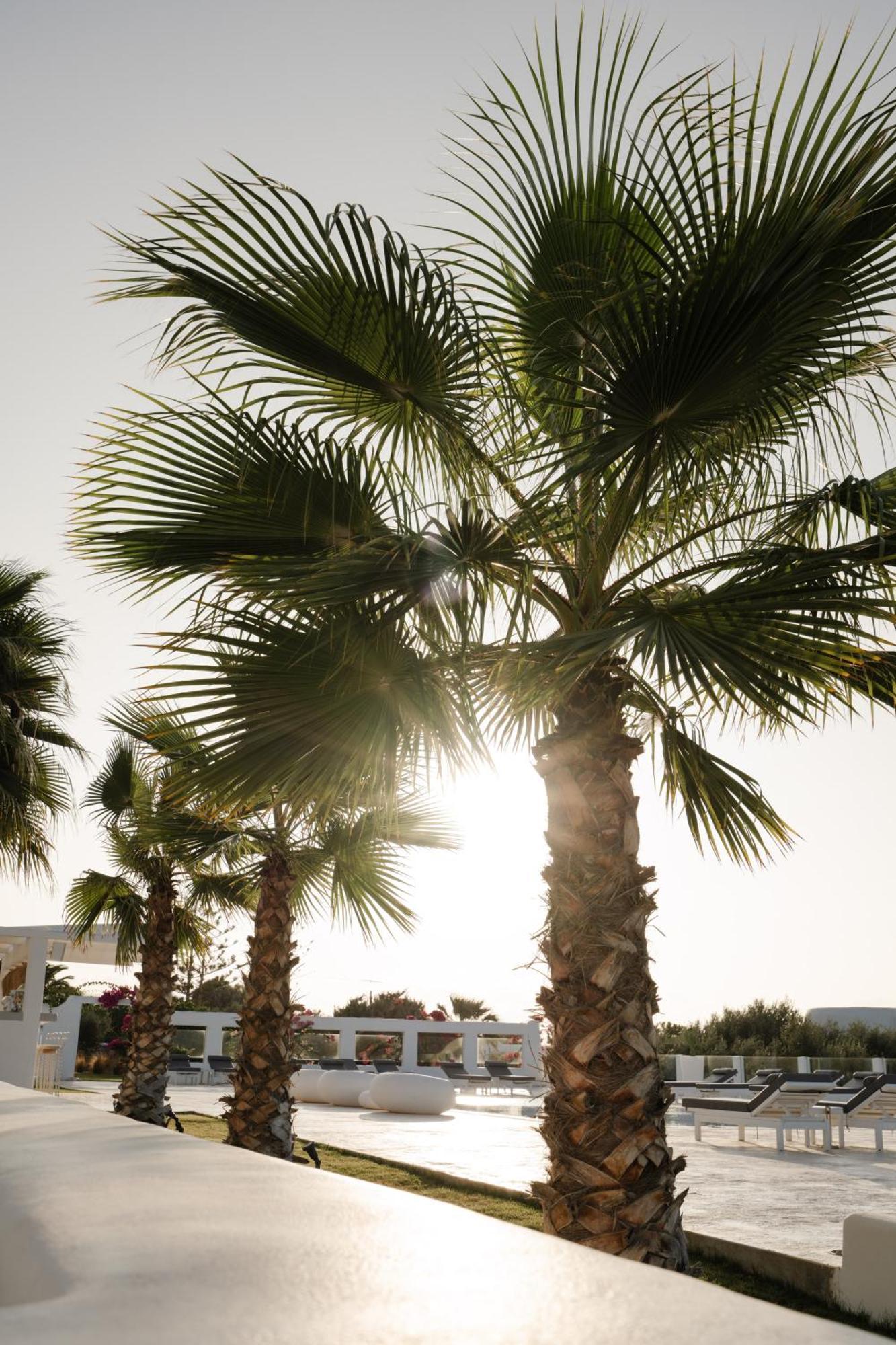 White Dunes Luxury Boutique Hotel Санта Мария Екстериор снимка